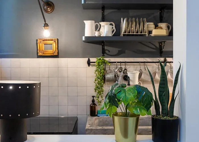 Hortensia By In Apartment Rom