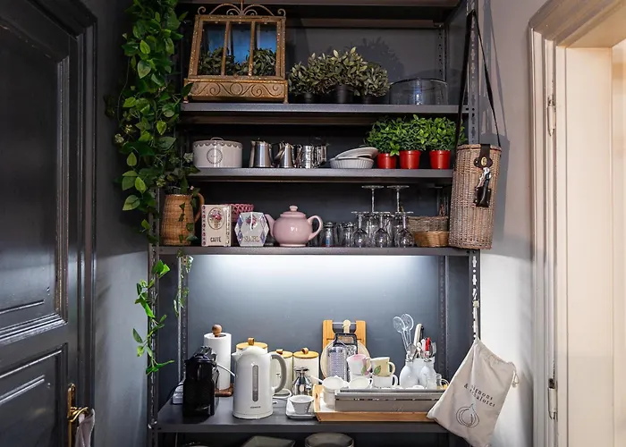 Hortensia By In Apartment